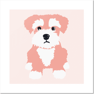 Sweet Pink Miniature Schnauzer Puppy on Dark Blue Background Posters and Art